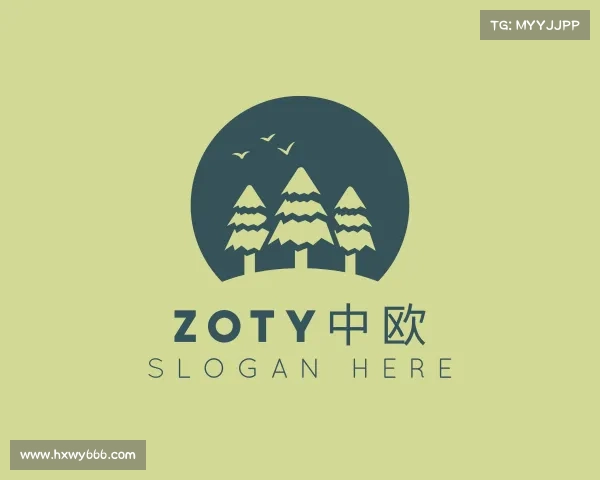 认识zoty中欧